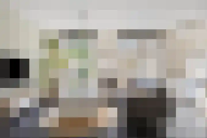 Elzenseloop 8 Heesch thumbnail 9