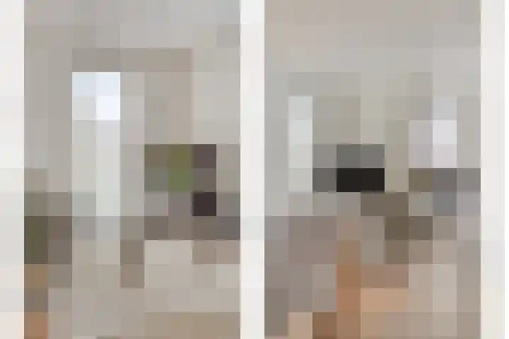 Elzent 22 Gemert thumbnail 10