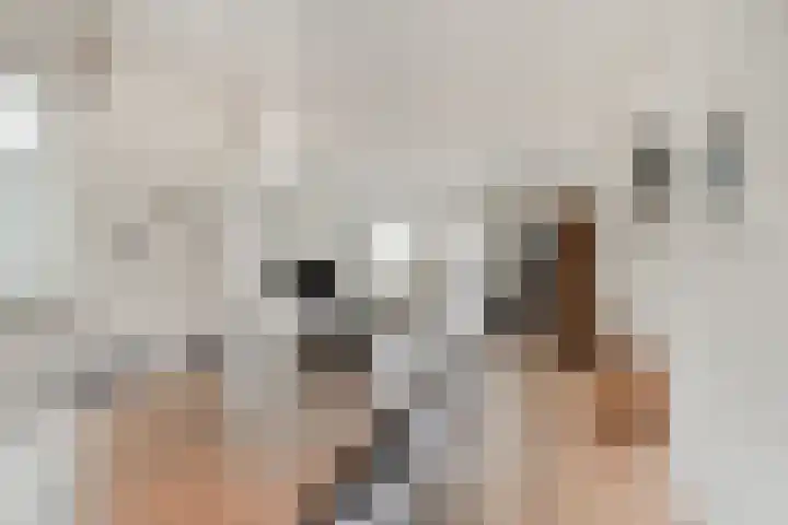Elzent 22 Gemert thumbnail 12