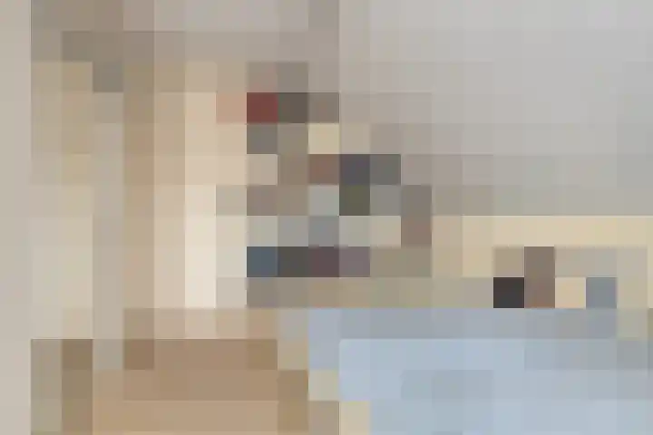 Elzent 22 Gemert thumbnail 21