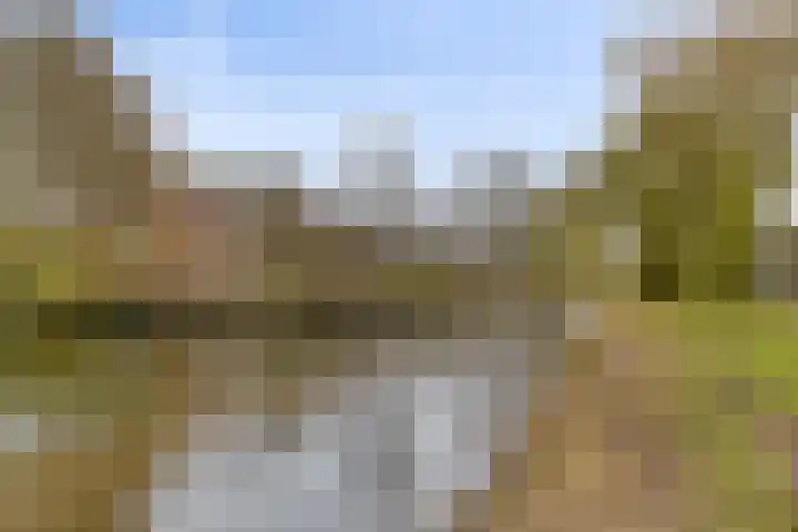 Elzent 22 Gemert thumbnail 41