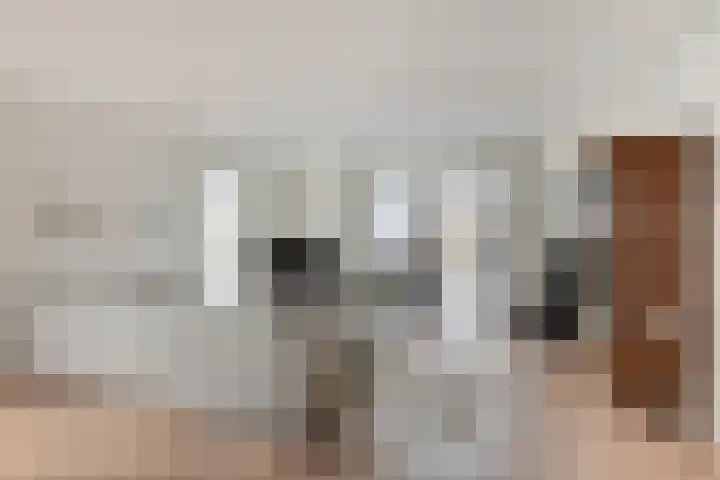 Elzent 22 Gemert thumbnail 6