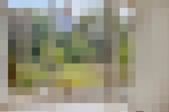 Elzent 34 Gemert thumbnail 19