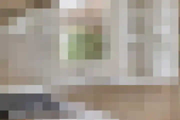 Elzent 34 Gemert thumbnail 22