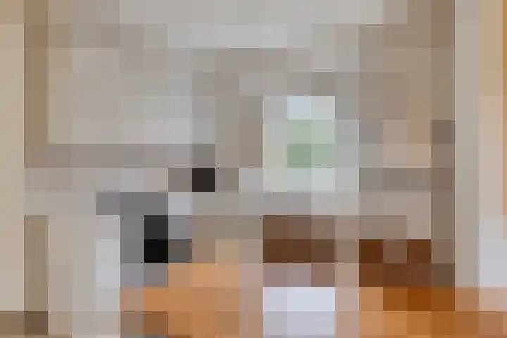Elzent 34 Gemert thumbnail 23