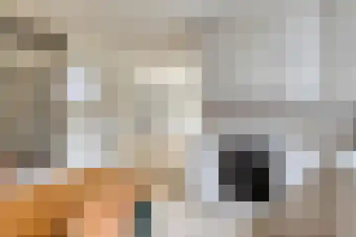 Elzent 34 Gemert thumbnail 24