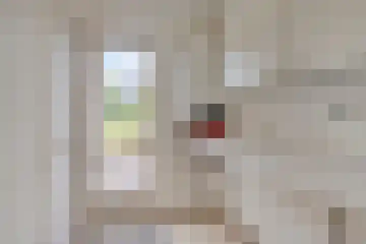 Elzent 34 Gemert thumbnail 25