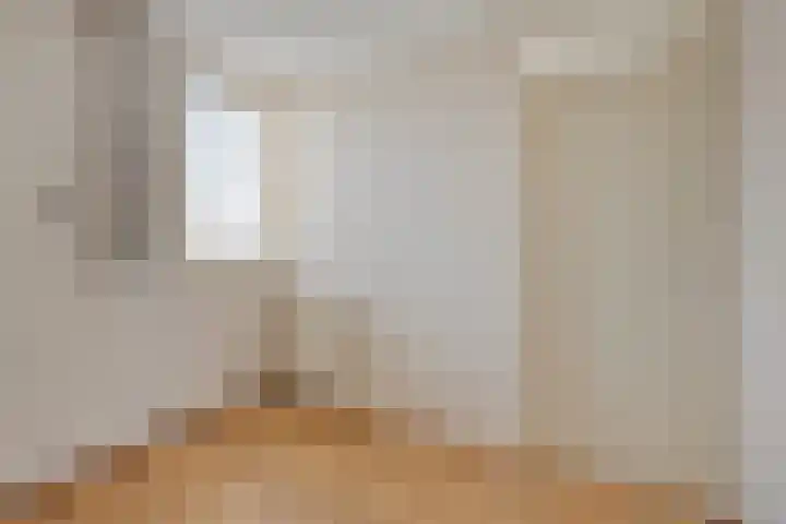 Elzent 34 Gemert thumbnail 31