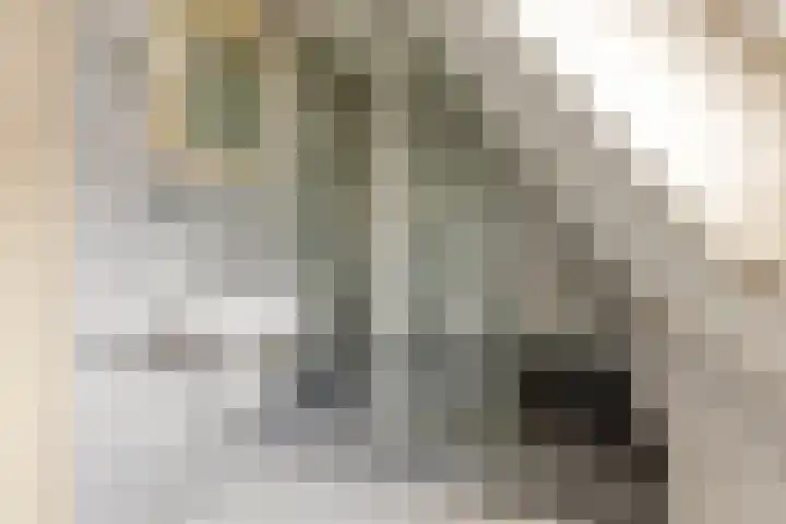 Elzent 34 Gemert thumbnail 32
