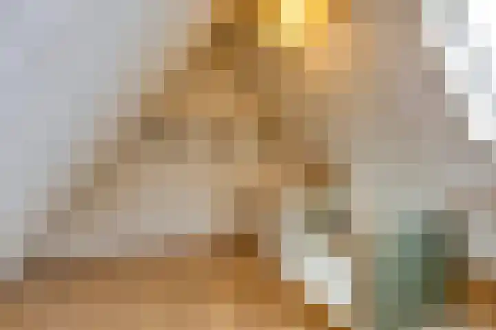 Elzent 34 Gemert thumbnail 36