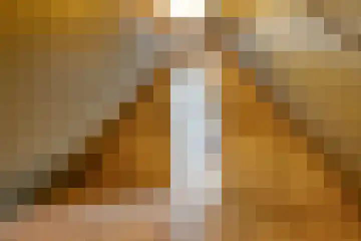 Elzent 34 Gemert thumbnail 37