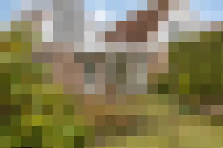 Elzent 34 Gemert thumbnail 38