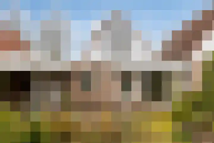 Elzent 34 Gemert thumbnail 41