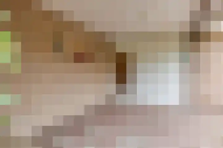 Elzent 34 Gemert thumbnail 44