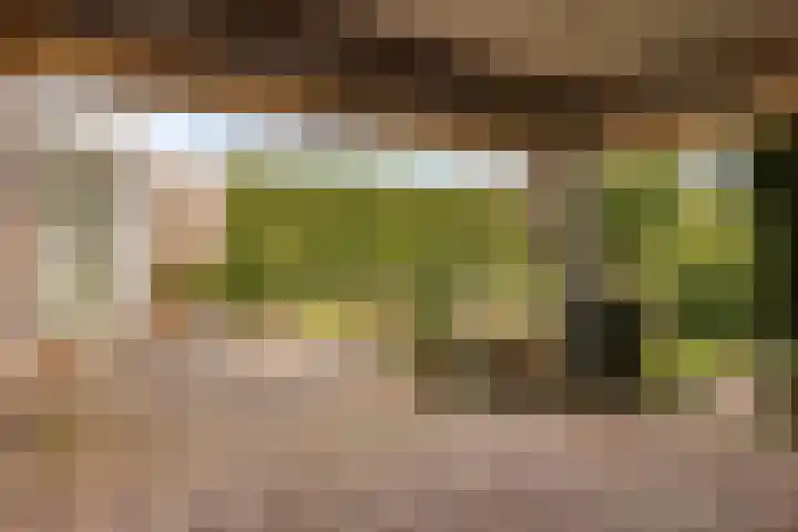 Elzent 34 Gemert thumbnail 45