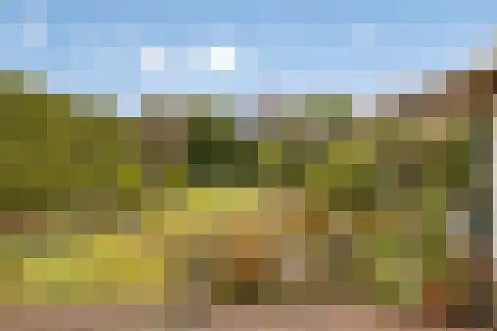 Elzent 34 Gemert thumbnail 5