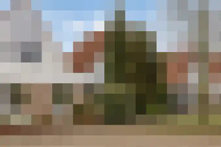 Elzent 34 Gemert thumbnail 6