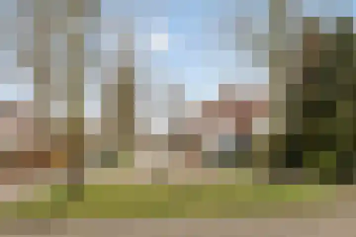 Elzent 34 Gemert thumbnail 7