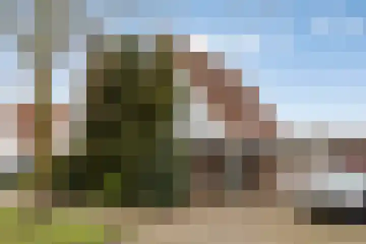 Elzent 34 Gemert thumbnail 8