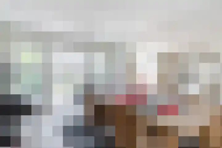 Elzent 39 Gemert thumbnail 12