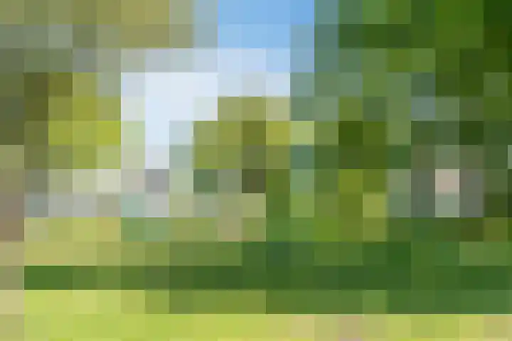 Elzent 39 Gemert thumbnail 35