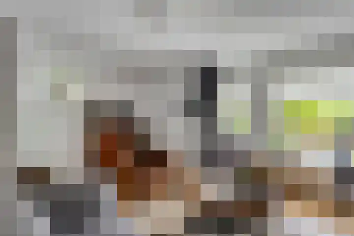 Elzent 6 Gemert thumbnail 10