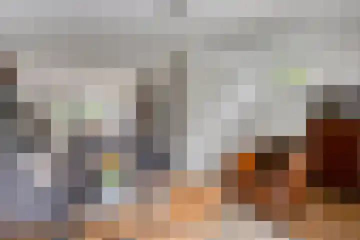 Elzent 6 Gemert thumbnail 12