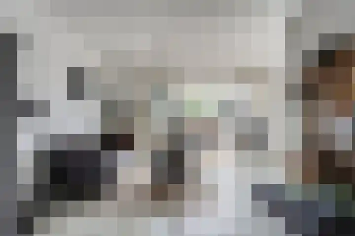 Elzent 6 Gemert thumbnail 13