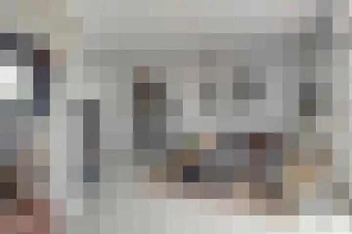 Elzent 6 Gemert thumbnail 14