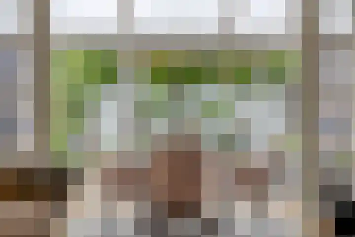 Elzent 6 Gemert thumbnail 18