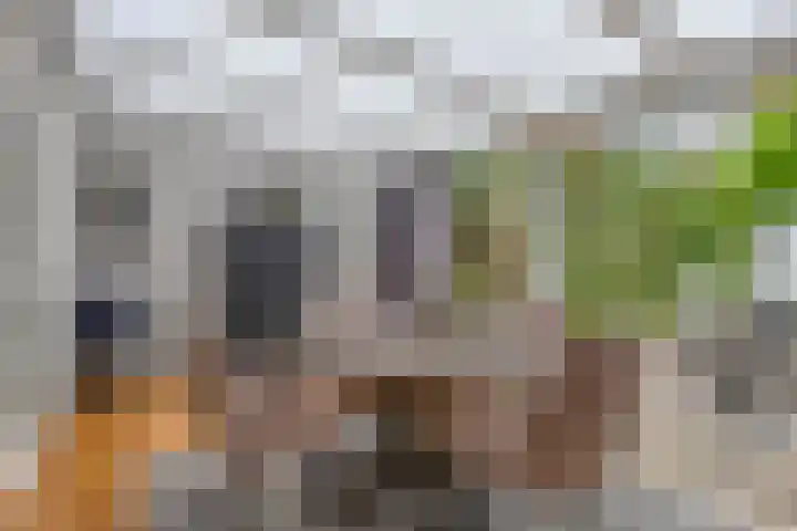 Elzent 6 Gemert thumbnail 19