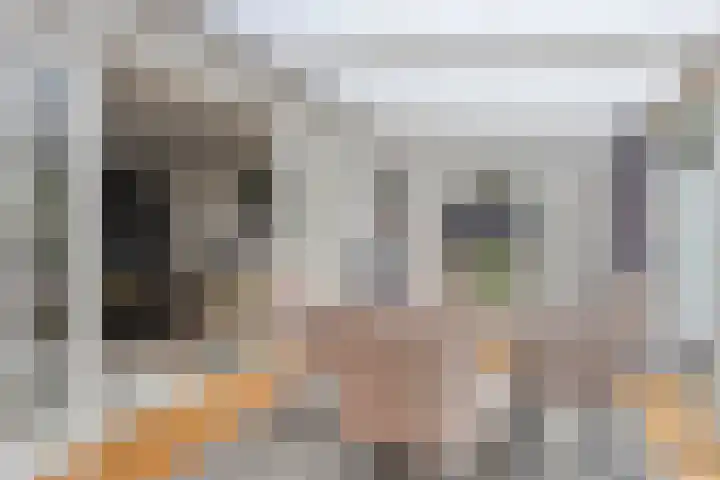 Elzent 6 Gemert thumbnail 20