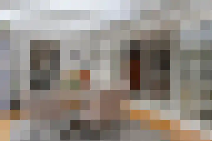 Elzent 6 Gemert thumbnail 21