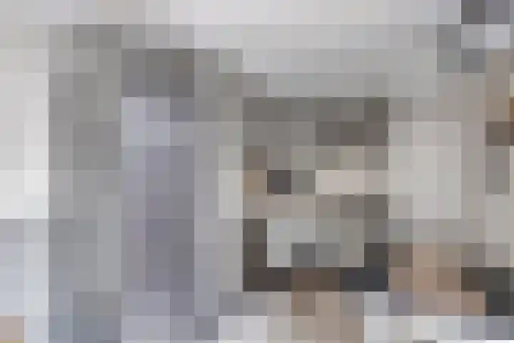 Elzent 6 Gemert thumbnail 22