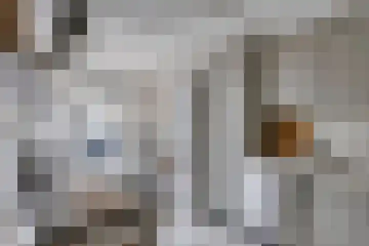Elzent 6 Gemert thumbnail 23