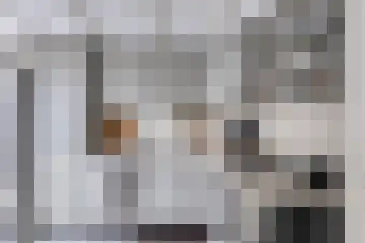 Elzent 6 Gemert thumbnail 24