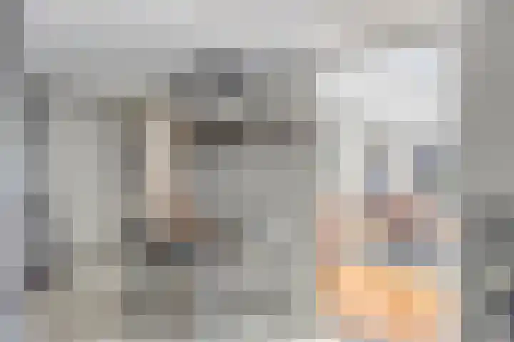 Elzent 6 Gemert thumbnail 25