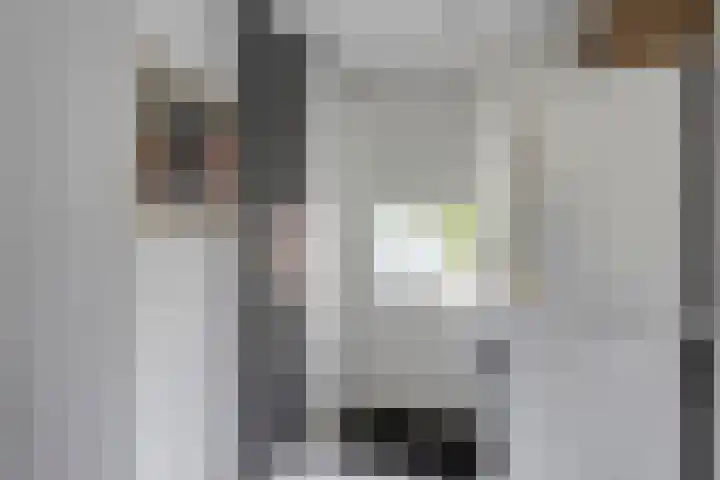 Elzent 6 Gemert thumbnail 26