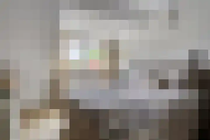 Elzent 6 Gemert thumbnail 28