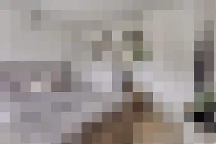 Elzent 6 Gemert thumbnail 29