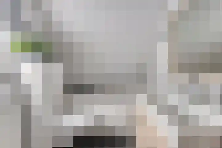 Elzent 6 Gemert thumbnail 30