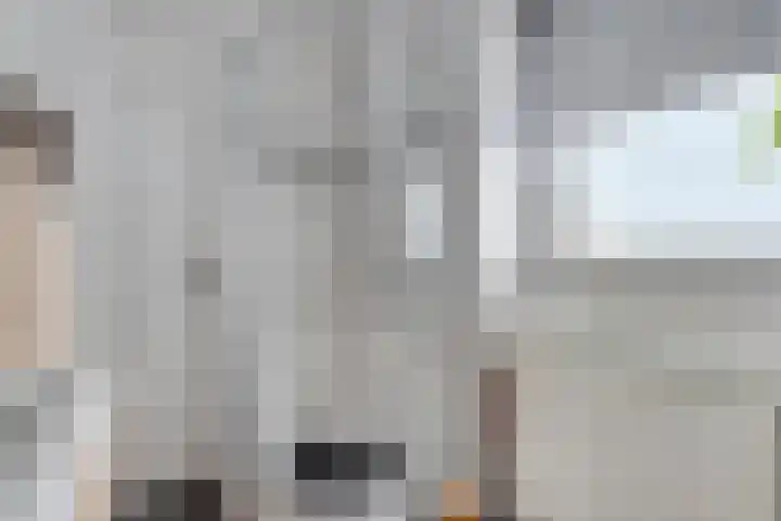 Elzent 6 Gemert thumbnail 31
