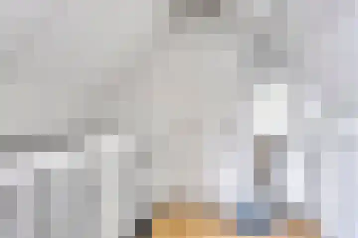 Elzent 6 Gemert thumbnail 34