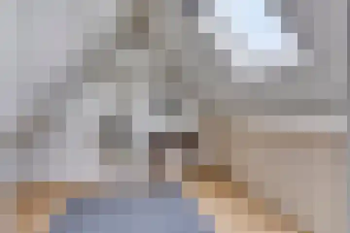 Elzent 6 Gemert thumbnail 35