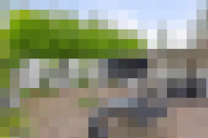 Elzent 6 Gemert thumbnail 36