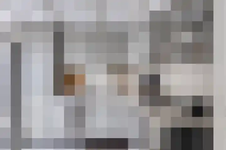 Elzent 6 Gemert thumbnail 4