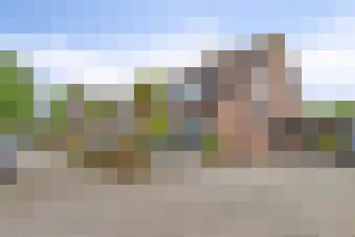 Elzent 6 Gemert thumbnail 7