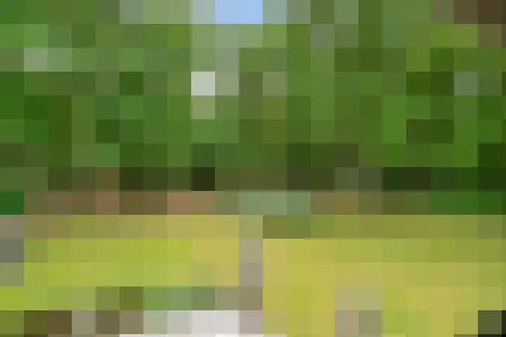Elzepad 12 in Boerakker