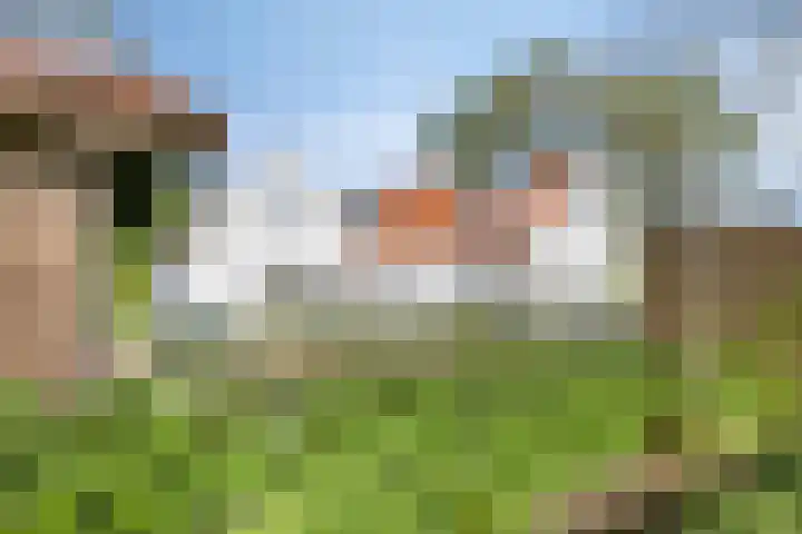 Elzepad 12 Boerakker