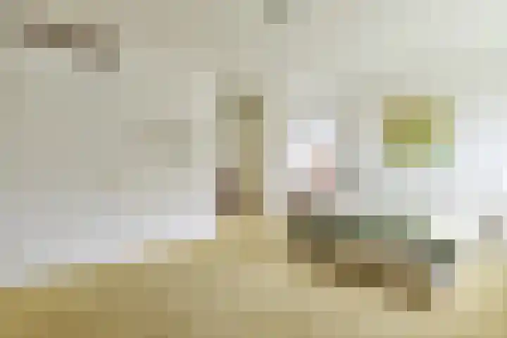 Elzingapark 3 Laren thumbnail 18